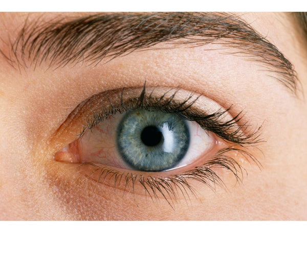 What are some things to look for in healthy eyes?